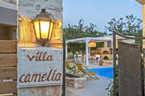 Гостиница Villa Camellia  Ретимно